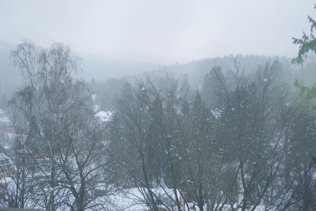 Villa Avangarda ชกลาร์สกา ปอเรมบา ห้อง รูปภาพ